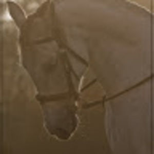 Meet your Posher, Colleen